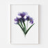 Abstract Impressions II Art Print Set